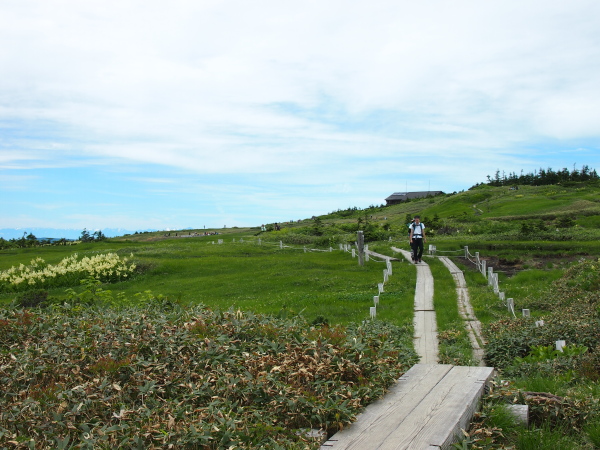 北アルプスを望む湿原　苗場山_b0244811_22505473.jpg