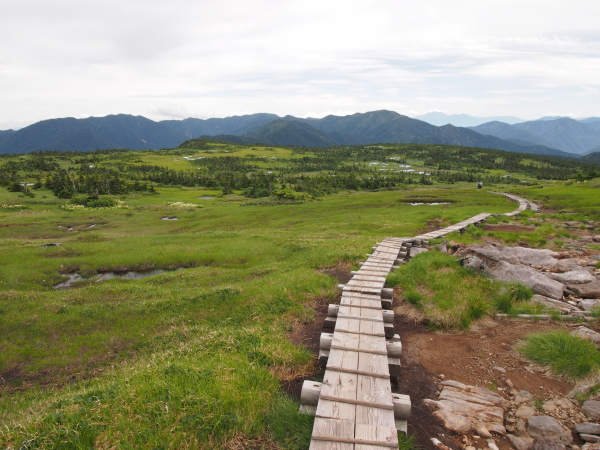 北アルプスを望む湿原　苗場山_b0244811_22523650.jpg