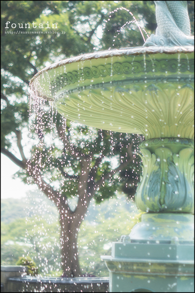真夏のfountain_f0100215_2285193.jpg