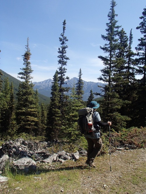 バックパッキング。森様　Banffハイライン、トレイル　　その１。_d0112928_1141284.jpg