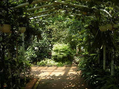 b0259630_11582930.jpg