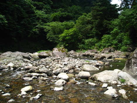 a0233432_21533828.jpg