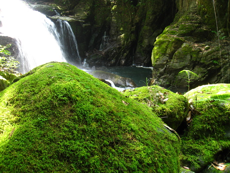 a0233432_22204013.jpg