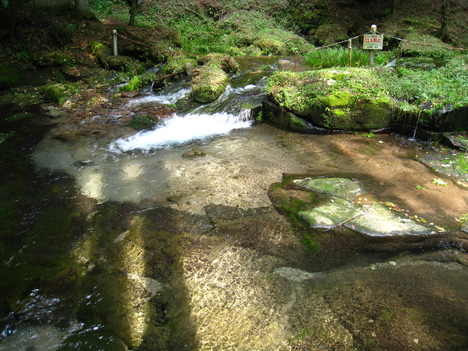 a0233432_2222238.jpg