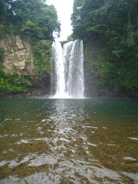 a0233432_22431885.jpg
