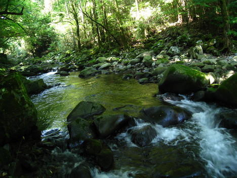 a0233432_22523540.jpg