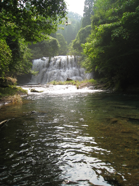 a0233432_22592494.jpg