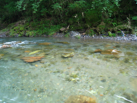 a0233432_23114710.jpg