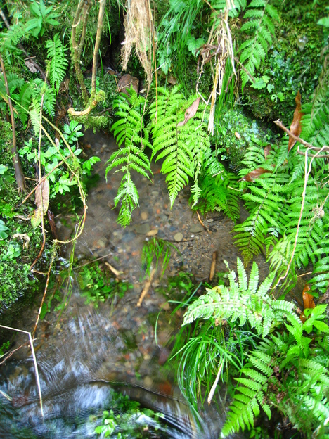a0233432_23134611.jpg