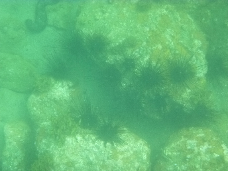 c0113733_08012.jpg