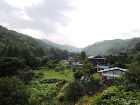 JAL国内線ファーストクラス機内食に岩泉町食材が登場します。_b0206037_903452.jpg