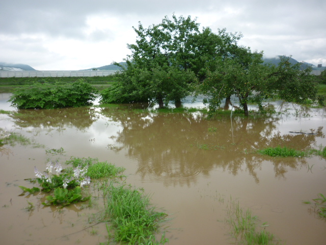 豪雨_e0131541_5275729.jpg