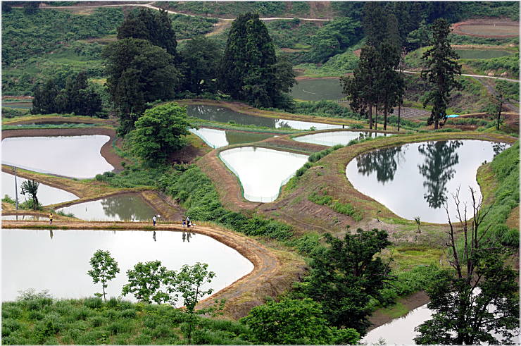 新潟県中越地方　山古志村_c0122452_185703.jpg