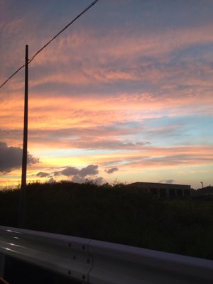 雨上がり、今日の夕刻の空の色_e0258753_2048425.jpg