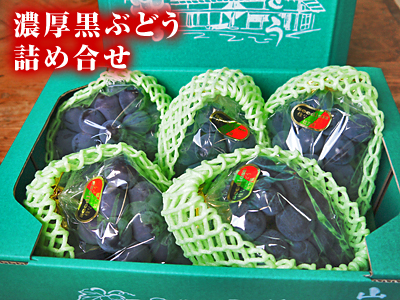 社方園 黒ぶどう「ピオーネ」が今最高の美味さです!!_a0254656_1982817.jpg
