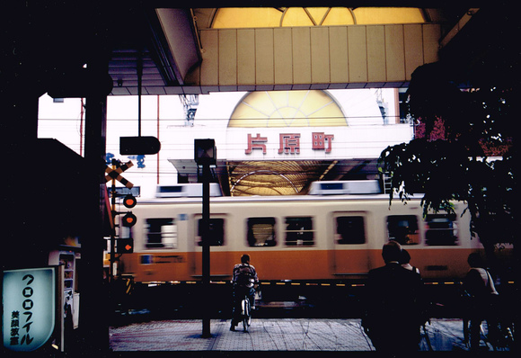 d0253060_9553687.jpg