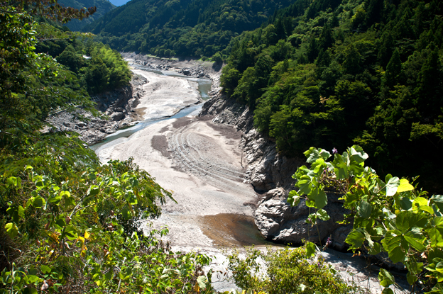 早明浦ダム渇水干上がっています。2013.8.20_f0231460_17542817.jpg