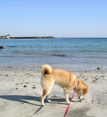 ’13,8,20(火)思い出写真館②_f0060461_10303032.jpg