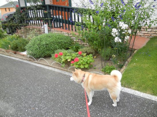 ’13,8,20(火)思い出写真館②_f0060461_107697.jpg