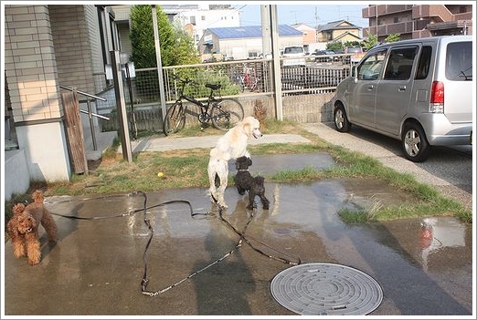 エマ、初めてのおうち水遊び。_b0111376_2252971.jpg