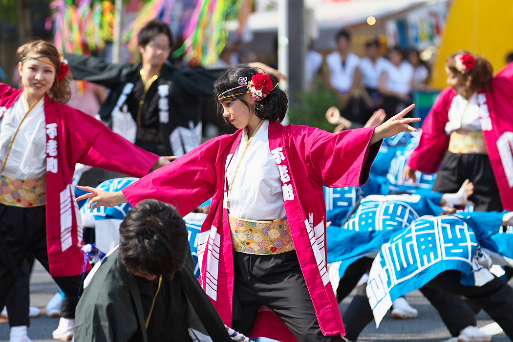 江南よさこい連～kohga～・名古屋大学 快踊乱舞＠第54回瑞浪美濃源氏七夕まつり_c0187584_1383133.jpg