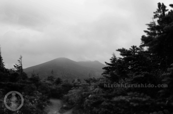 八甲田_c0229485_025474.jpg