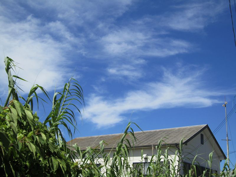 f0053885_2103564.jpg