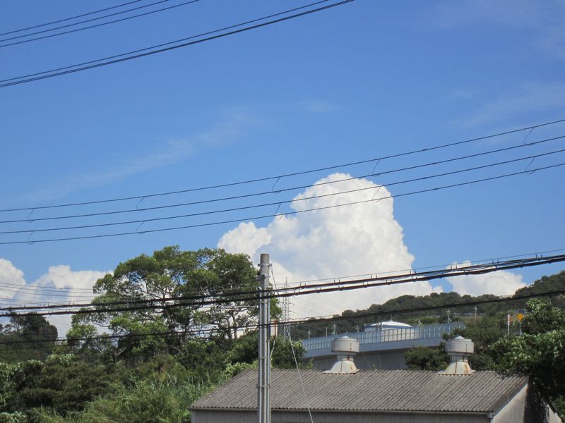 f0053885_2105696.jpg