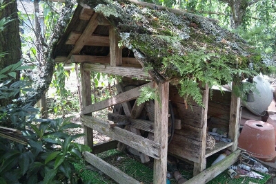 e0304588_2237046.jpg