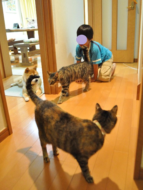 遊ぼうぜ!!_a0126590_22481239.jpg