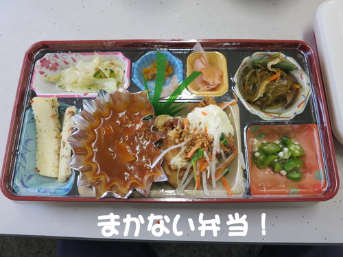 斑入り ハンカチノキ 超!!入手困難商品！_b0200291_2215315.jpg