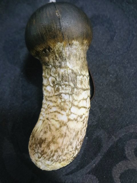 c0211991_21282858.jpg