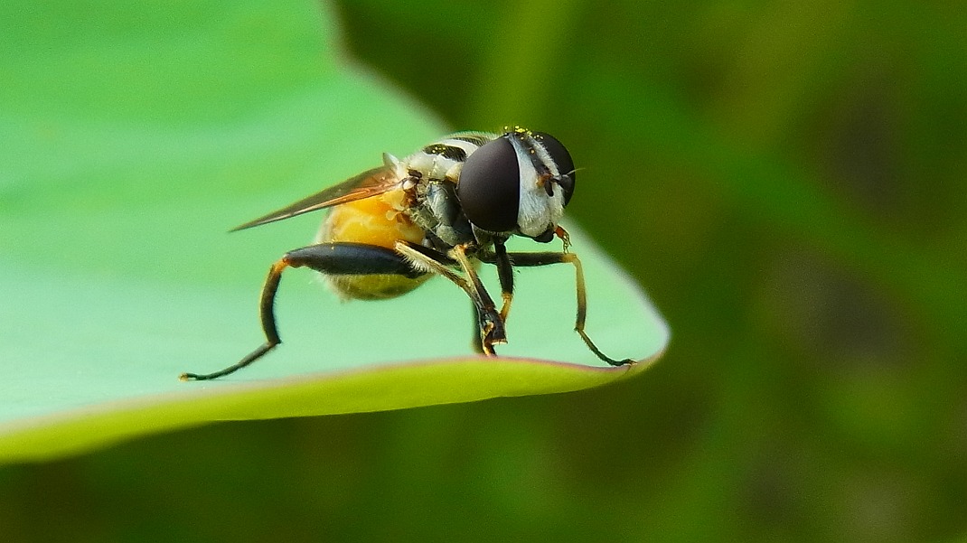 a0152692_1749214.jpg