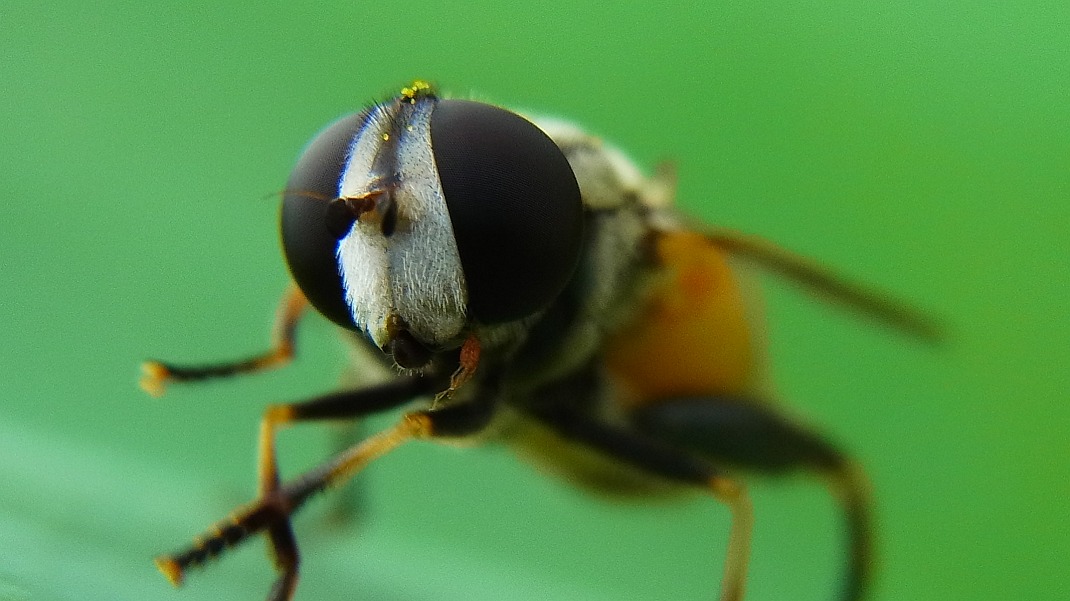 a0152692_17494071.jpg