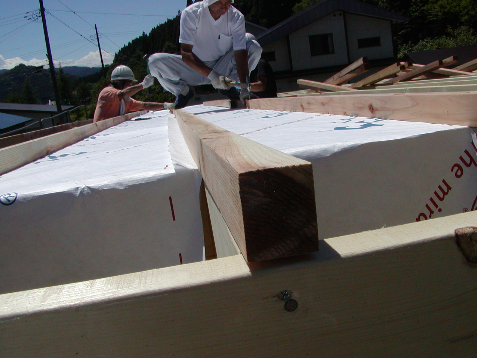 c0104793_1012741.jpg