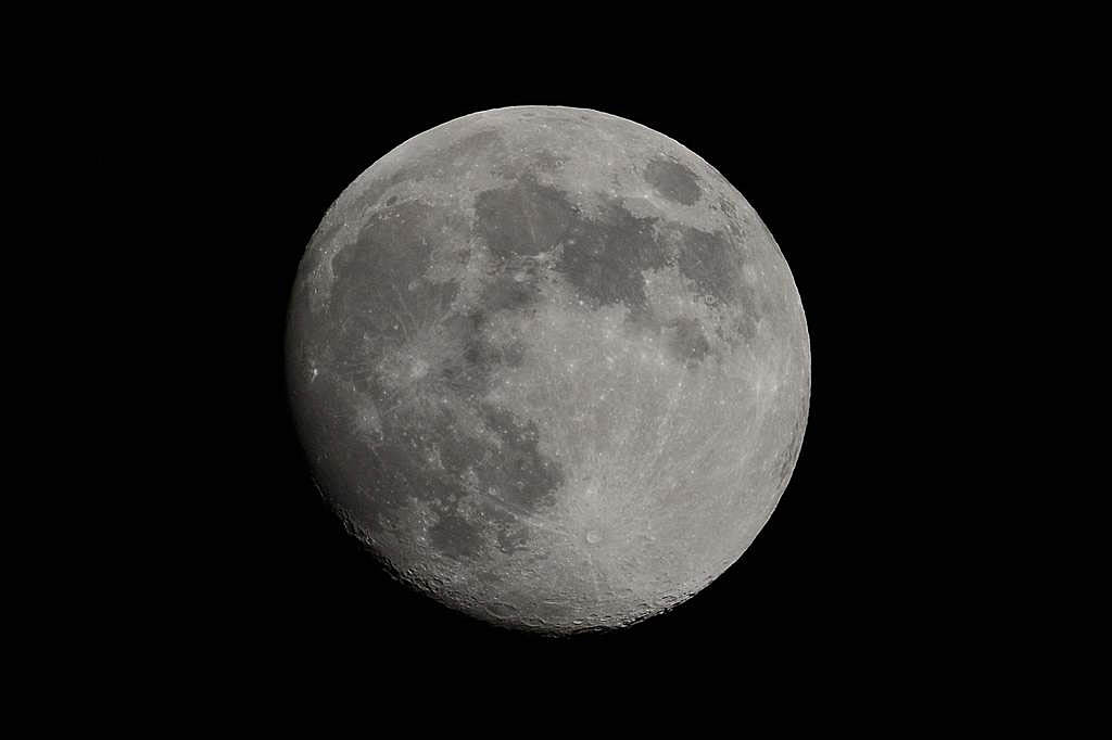 ハス花上でホバ/??のシギチ/MFの虫達/ススキ/富士山に金星/十三夜の月_b0024798_1313161.jpg