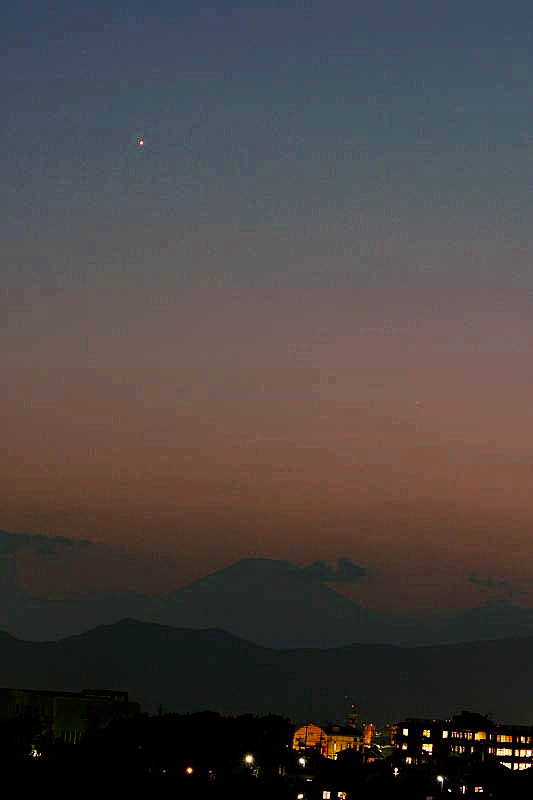 ハス花上でホバ/??のシギチ/MFの虫達/ススキ/富士山に金星/十三夜の月_b0024798_1395469.jpg