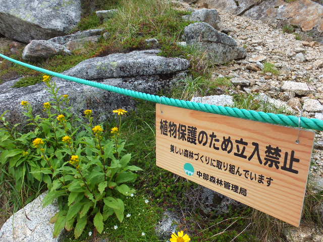 a0271502_924291.jpg