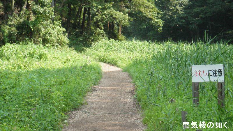 コミック「ヤマノススメ」舞台探訪002 天覧山から多峯主山へ（「コミック二十三合目ともだち」）_e0304702_12331558.jpg