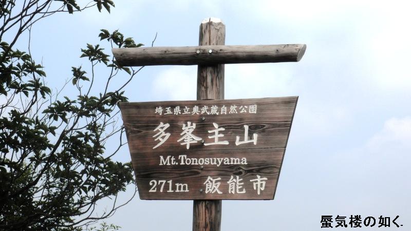コミック「ヤマノススメ」舞台探訪002 天覧山から多峯主山へ（「コミック二十三合目ともだち」）_e0304702_12362232.jpg