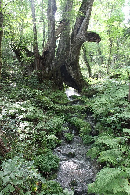 a0123003_9131587.jpg