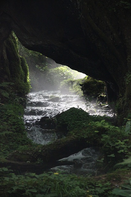 a0123003_930436.jpg