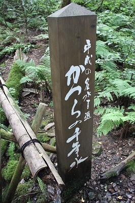 a0123003_9432756.jpg