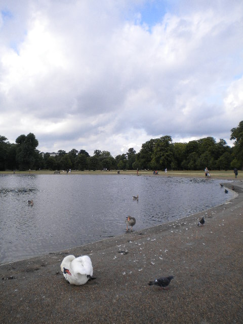 e0160905_71349.jpg