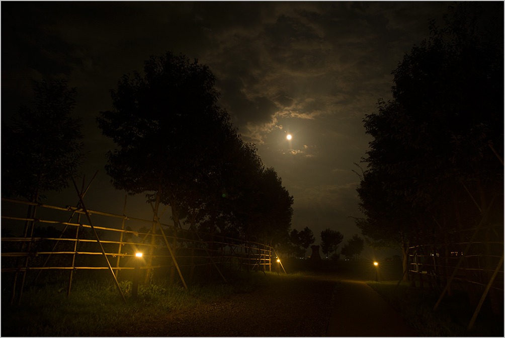 月明かりの夜に Moonlit Night Leica M のんたんのデジタルな風景 月明かりの夜に Moonlit Night Leica M のんたんのデジタルな風景