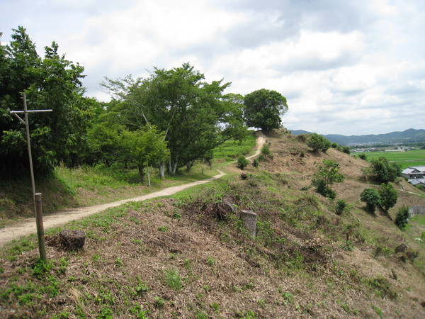 d0287413_13382480.jpg