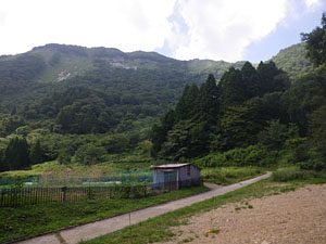 伊吹山、静馬ヶ原 （笹又林道より）_a0133014_2038292.jpg