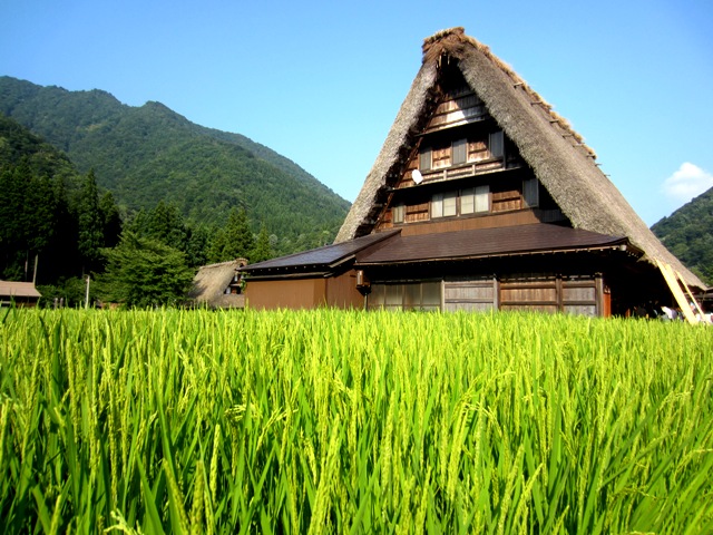 都心激雨と五箇山。_a0165316_1937911.jpg