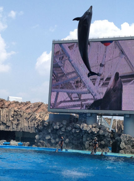 名古屋港水族館へgo Cafeごはん ときどきおやつ 名古屋港水族館へgo Cafeごはん ときどきおやつ
