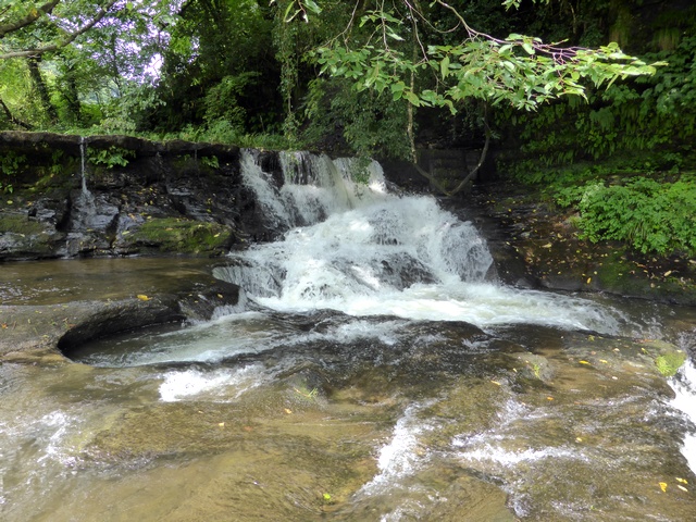 a0256418_1940326.jpg
